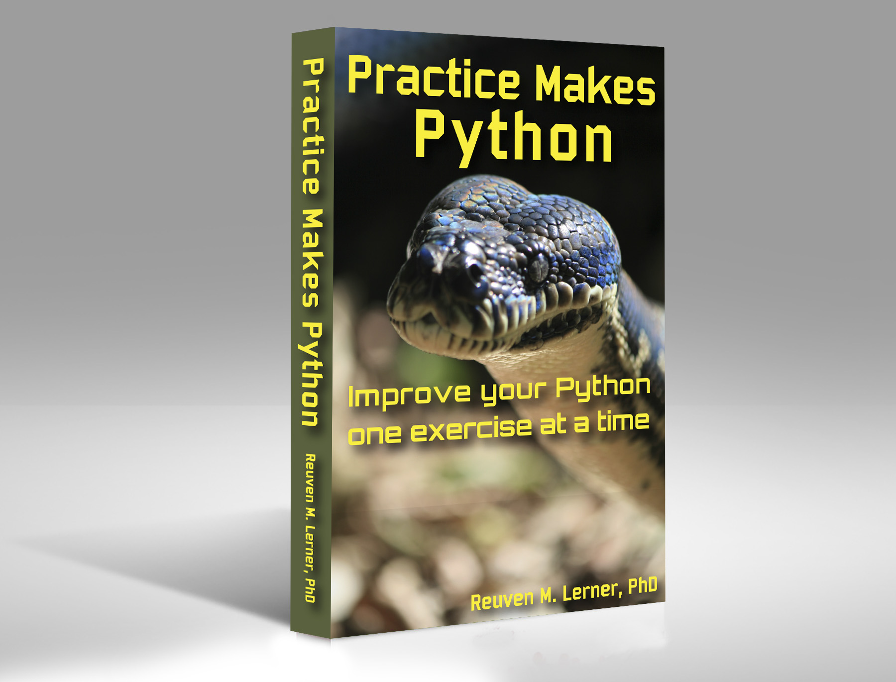 Cover of "Practice Makes Python"